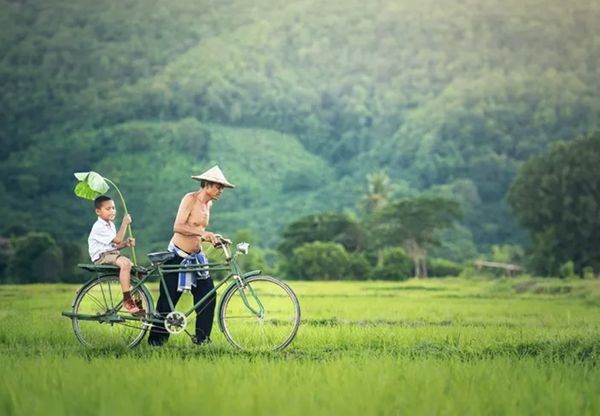 回歸鄉(xiāng)村，方知幸福 【輕鋼別墅】(圖5)